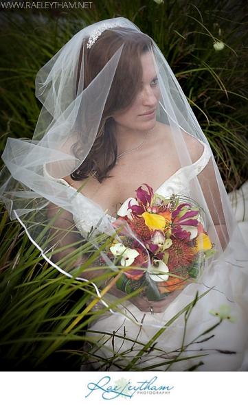 Veiled Photo