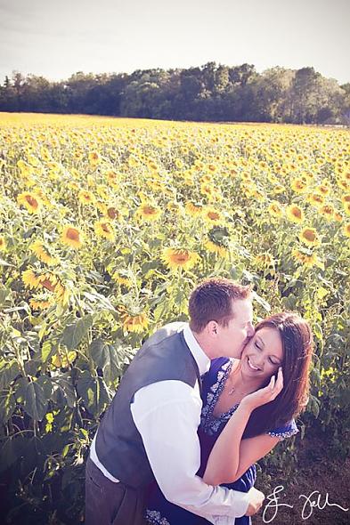 Sunflower Love