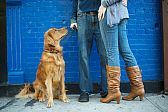 Our Engagement pictures