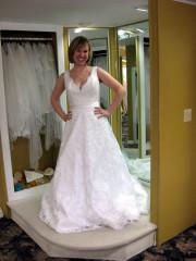 Miss Powder Puff's Dress