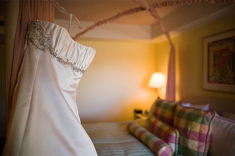 Mrs. Eggplant's Ines Di Santo Dress