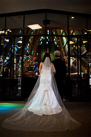 Mrs. Eggplant's Veil