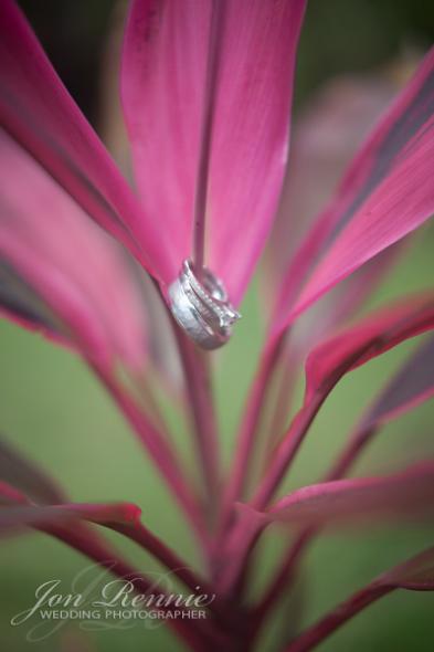 Mrs. E's Tropical Flower Ring Set