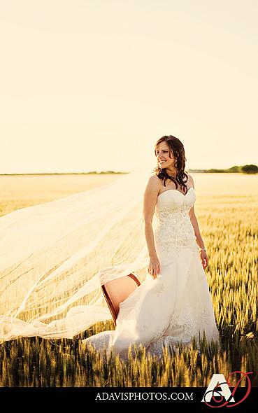 Wheat field bridals 2