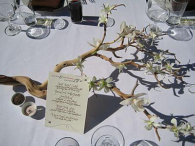 Mrs. Gummi Bear's Centerpiece
