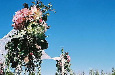 Mrs. Gummi Bear's Chuppah