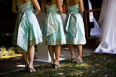 Teal Bridesmaid Dresses on Mrs  Lime S Bridesmaid Dresses  Back     Weddingbee Gallery