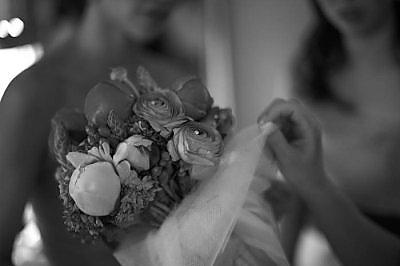Mrs. Ladybug's Bouquet