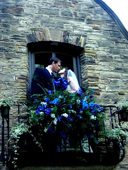 More blue flowers