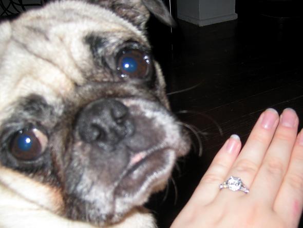 Sophie and my ring!