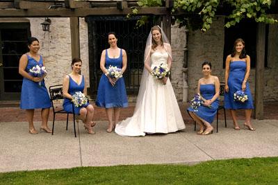 Cotton Wedding Gowns on Lemon S Bridesmaid Dresses   Vintage Blue Cotton Cady From J  Crew