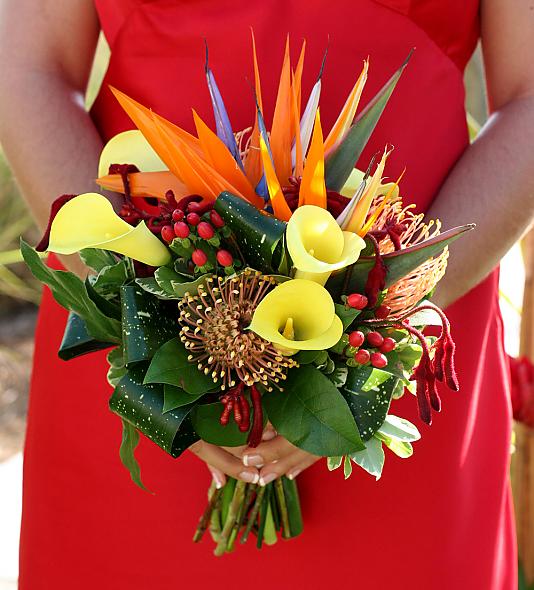 Bright and Tropical