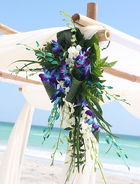 Canopy Flowers Awesome colors for beach wedding