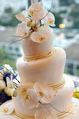 Weddingbee Gallery: Wedding Cakes! :  wedding features 411.cake2.jpg.resize