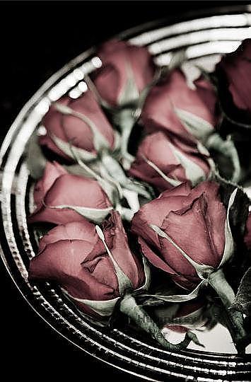 Mens boutonnieres