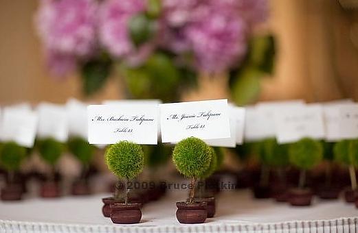 Place cards in mini topiaries
