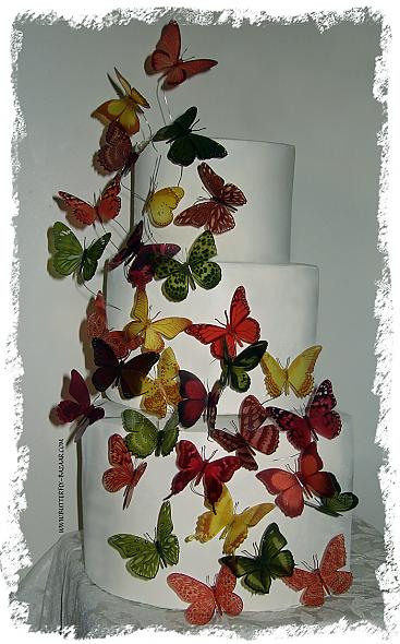 ButterflyBazaar's Fall Cascade Butterfly Cake Set