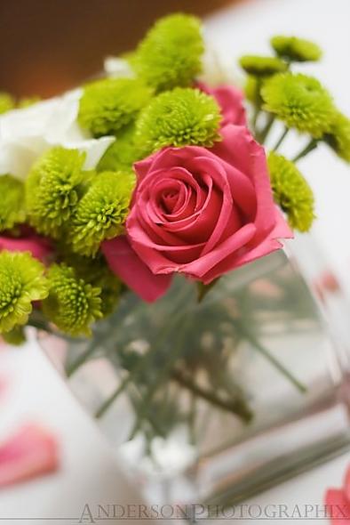 Roses & Button Mums
