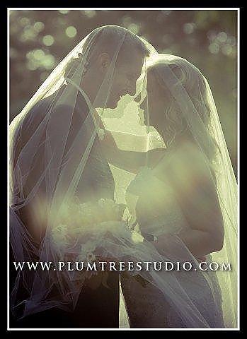 Wedding Veil