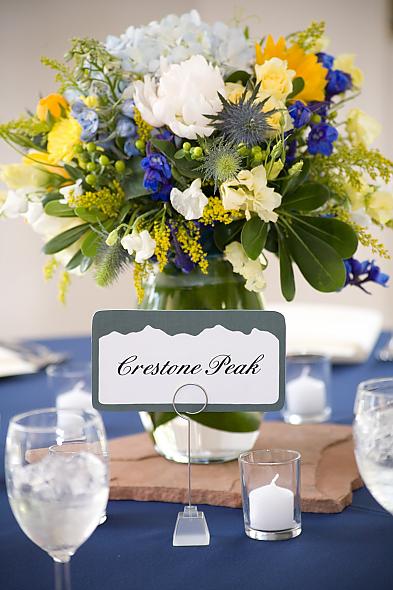 Coming Soon to The Knot- License Plate Inspired Table Numbers