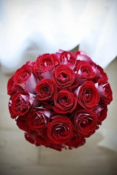 red roses
