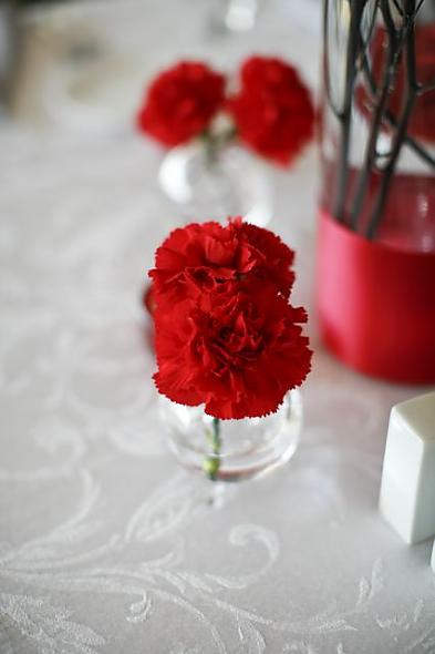 accent carnation 'satellites'