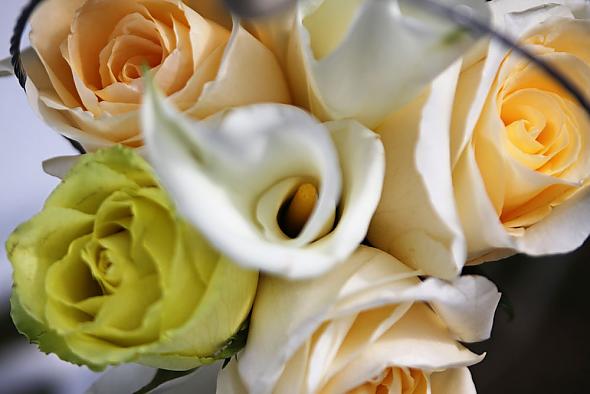 Calla Lillies and Roses