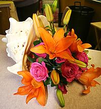 Conch Shell Centerpiece