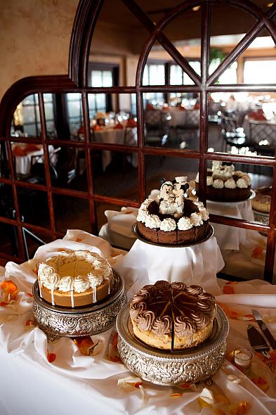Cheesecake all around