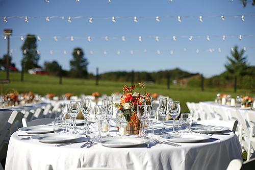 Open air farm reception