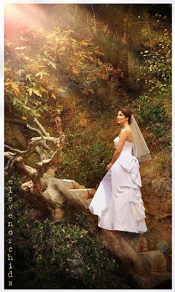 Disney Princess Bride