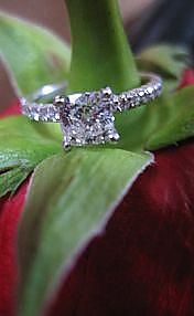 Pave Cushion Cut