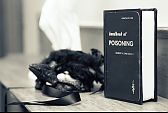 My Crow Mask & Groom's Handbook of Poisoning