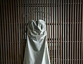 Mrs. Sushi's Wedding Dress
