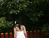 Mrs. Sushi's Wedding Dress