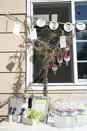 Mrs. Bass Lover's wish tree
