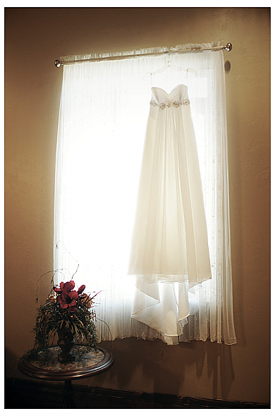 Tiffany's Wedding Dress
