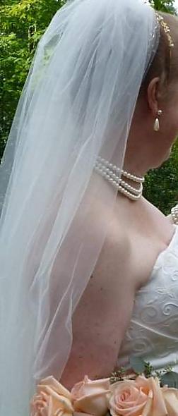 2dBride's veil