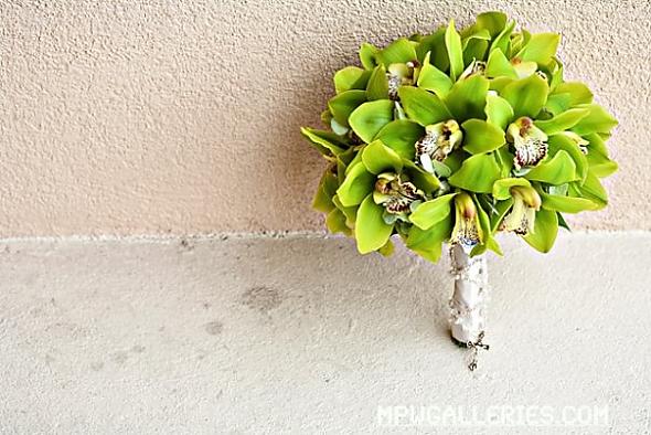 Green Cymbidium Orchids