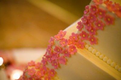 Weddingbee Gallery: Wedding Cakes! :  wedding features 636.cake2.jpg.resize