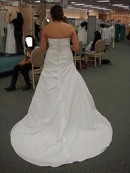 What veil will go best with my dress??