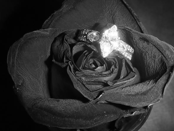 bblove's e-ring