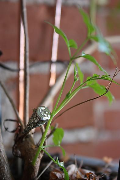 Family Heirloom Engagement