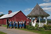 The wedding party