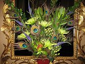 Peacock feathers and fuji mums