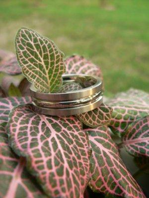 mrsfroggy's ring