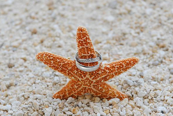 starfish and rings