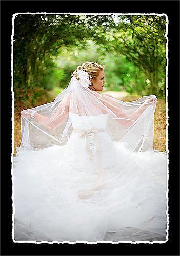 Mrs. Chasson's Bridals in AVERY ISLA