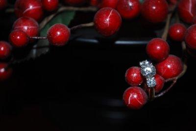 Humarockbride's ring