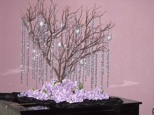 Wishing Tree